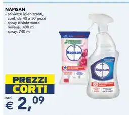 Esselunga NAPISAN offerta