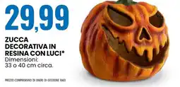 Eurospin Zucca decorativa in resina con luci offerta