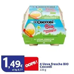 Sigma 4 Uova fresche BIO Coccodi offerta