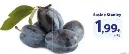 Sigma Susine Stanley offerta