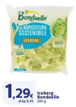 Sigma Iceberg Bonduelle offerta