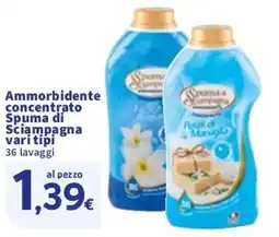 Sigma Ammorbidente concentrato Spuma di Sciampagna vari tipi offerta