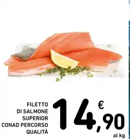 Spazio Conad Filetto di salmon conad percorso qualità offerta