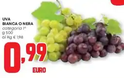 Pam UVA bianca o nera offerta