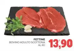 Eté Bovino adulto scottona offerta