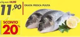 Italmark Orata fresca pulita offerta