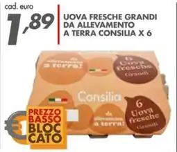 Italmark Uova fresche grandi da allevamento a terra CONSILIA X 6 offerta