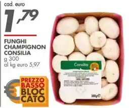 Italmark Funghi champignon CONSILIA offerta