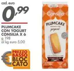 Italmark Plumcake con yogurt CONSILIA X 6 offerta