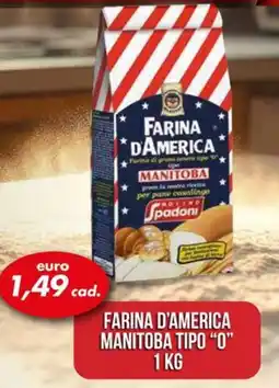 Italmark Farina d'america manitoba tipo "o" offerta