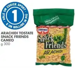 Italmark Arachidi tostate snack friends CAMEO offerta