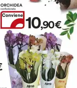 Ipercoop Orchidea offerta