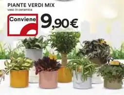Ipercoop Piante verdi mix offerta