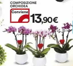Ipercoop Composizione orchidea offerta