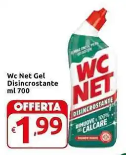 Carrefour Express Wc Net Gel Disincrostante offerta