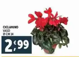 Deco Supermercati Ciclamino vaso cm 14 offerta