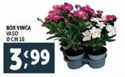 Deco Supermercati Box vinca vaso cm 10 offerta