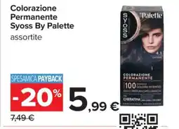 Carrefour COLORAZIONE PERMANENTE SYOSS BY PALETTE offerta