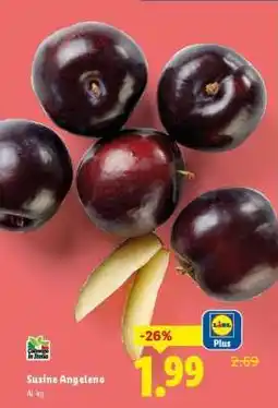 Lidl Susine Angeleno offerta