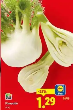 Lidl Finocchio offerta