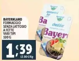 Deco Supermercati Bayernland formaggio senza lattosio a fette vari tipi offerta