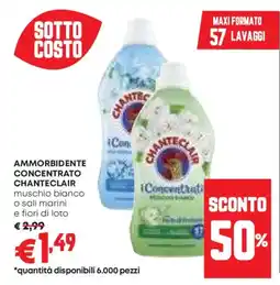 Panorama Ammorbidente concentrato CHANTECLAIR offerta