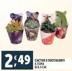 Deco Supermercati Cactus e succulenti atema offerta