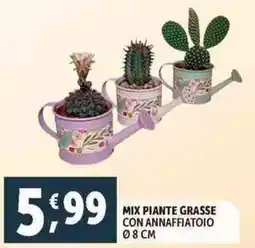 Deco Supermercati Mix piante grasse con annaffiatoio offerta