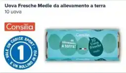 Tigre Consilia Uova Fresche Medie da allevamento a terra offerta