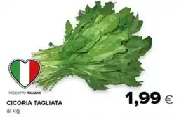 Tigre Cicoria tagliata offerta