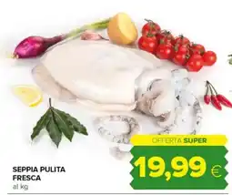 Tigre Seppia pulita fresca offerta