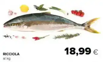 Tigre Ricciola offerta