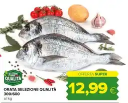 Tigre Orata selezione qualità 300/600 offerta