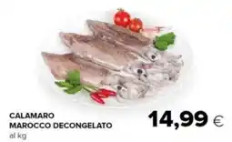 Oasi Calamaro marocco decongelato offerta