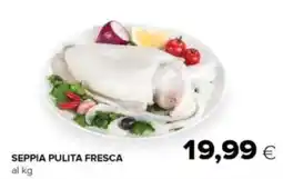 Oasi Seppia pulita fresca offerta