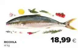 Oasi Ricciola offerta