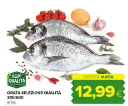 Oasi Orata selezione qualità 300/600 offerta
