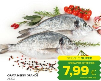 Tigre Orata offerta
