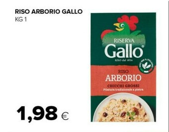 Tigre Riso offerta