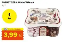 Oasi Sorbettiera SAMMONTANA offerta