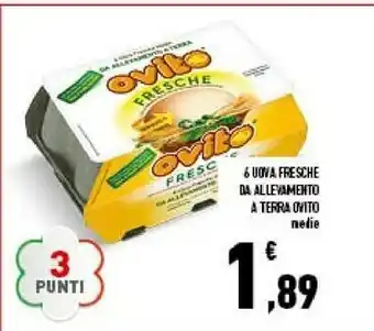 Uova fresche da allevamento a terra