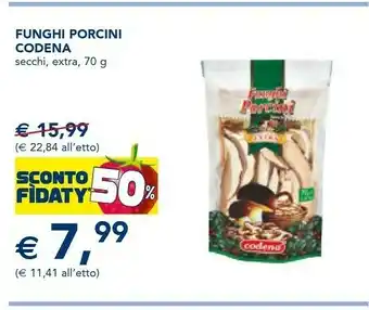 Esselunga Funghi porcini offerta