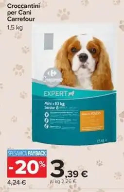 Carrefour Croccantini per Cani Carrefour offerta