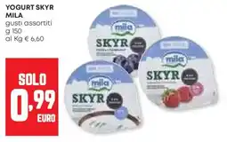 Panorama Yogurt skyr MILA offerta