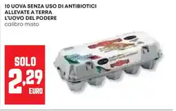Panorama 10 uova senza uso di antibiotici allevate a terra L'UOVO DEL PODERE offerta