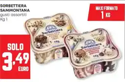 Panorama Sgrbettiera SAMMONTANA offerta
