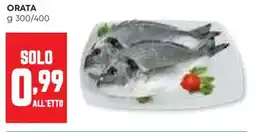 Panorama Orata offerta