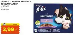 Oasi Le ghiottonerie le preferite in gelatina felix PURINA offerta