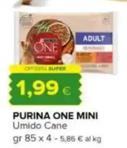 Oasi Purina one mini offerta