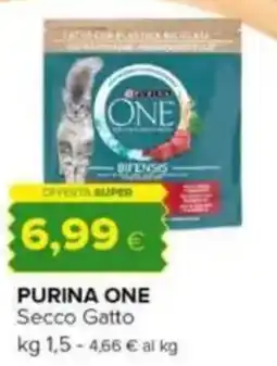 Oasi PURINA ONE Secco Gatto offerta